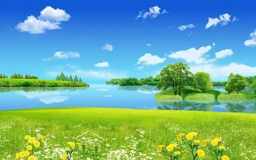 节能全自动